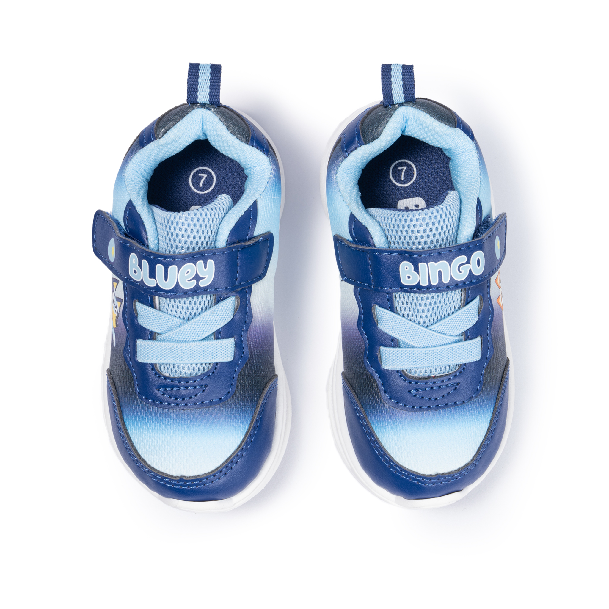 Bluey & Bingo